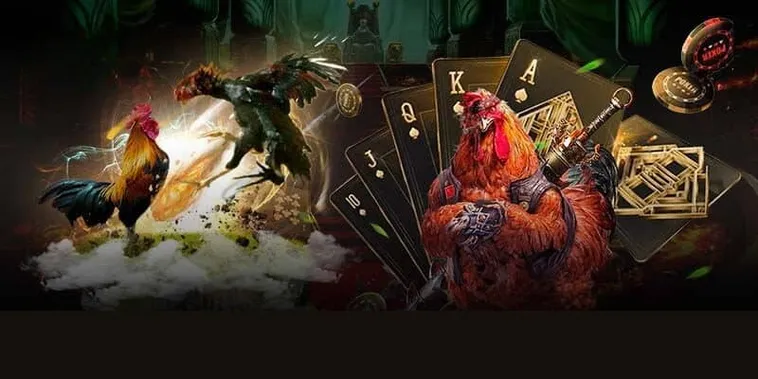 Cách Chơi Đá Gà 3D 12Bet: Trải Nghiệm Đỉnh Cao Công Nghệ Cá Cược