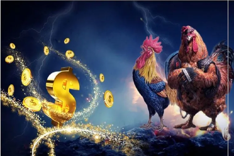 Cách Chơi Đá Gà WS168 Tại 12Bet: Bí Quyết Thắng Lớn Dễ Dàng