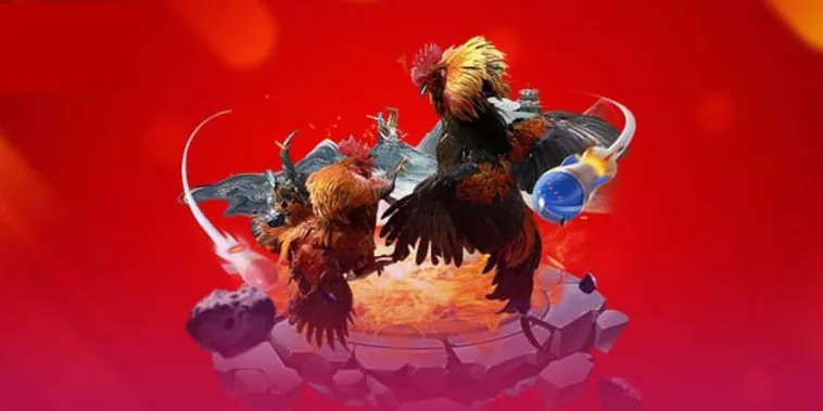 Cách Chơi Đá Gà 3D 12Bet: Trải Nghiệm Đỉnh Cao Công Nghệ Cá Cược
