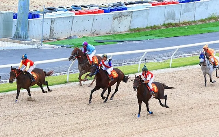 Khám Phá Cá Cược Đua Ngựa 12Bet: Bí Quyết Thắng Lớn Mỗi Ngày 2 Khám Phá Cá Cược Đua Ngựa 12Bet: Bí Quyết Thắng Lớn Mỗi Ngày